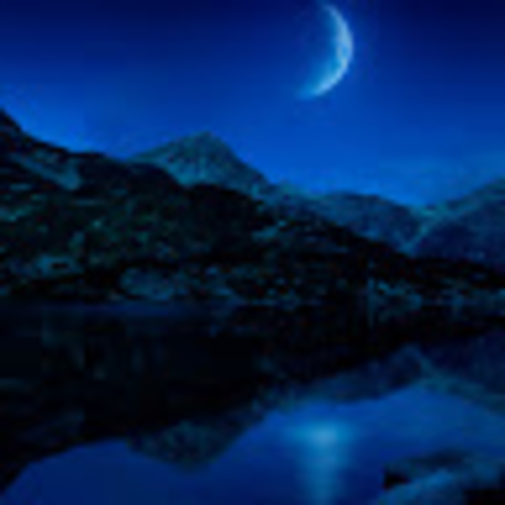 Meet your Posher, Berenice